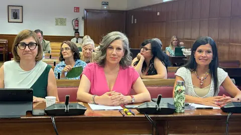 Raquel Gonz&aacute;lez, Asunci&oacute;n Mayo y Nidia Mar&iacute;a Ar&eacute;valo durante la Comisi&oacute;n de Igualdad - Grupo Popular