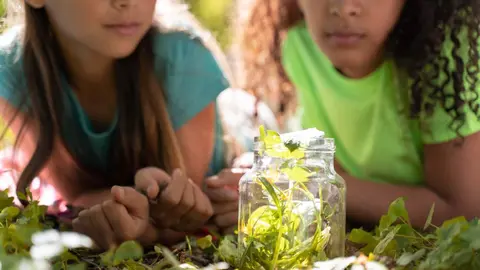 VIII Programa de Educaci&oacute;n y Sensibilizaci&oacute;n Ambiental Madrid - Freepik