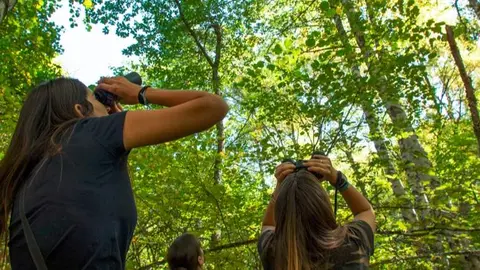 Actividades gratuitas para celebrar el Día Mundial de las Aves Migratorias - Foto Comunidad de Madrid