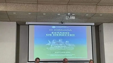 Javier Zaragoza Aguado, Consuelo Madrigal Mart&iacute;nez-Pereda y Salvador Viada Bardaj&iacute;