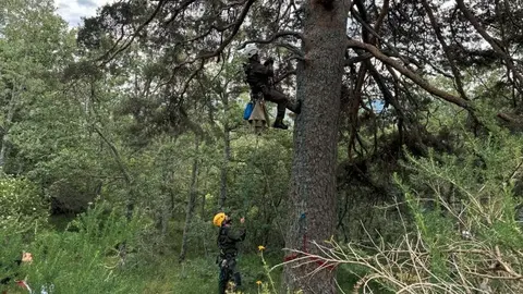 La Comunidad de Madrid exhibe ante expertos de  toda Espa&ntilde;a sus programas de protecci&oacute;n de aves - Foto Comunidad de Madrid