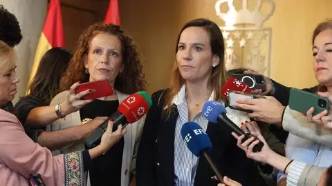 Isabel Pérez Moñino en declaraciones ante los medios en la Asamblea de Madrid