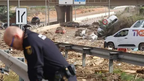 Policia Dana - @IndicativoN / X