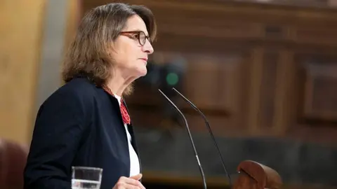 Teresa Ribera, durante su intervención en el Pleno del Congreso - Foto Congreso de los Diputados