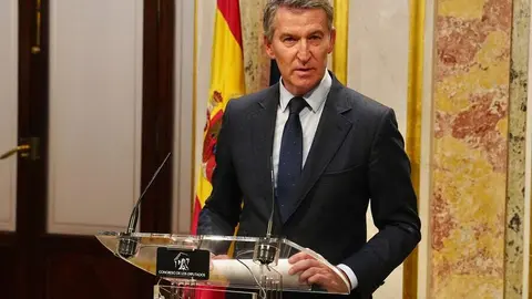 Alberto Núñez Feijóo, en el Congreso - Foto PP