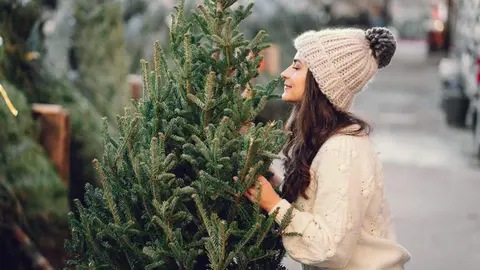 Decoración Navidad - Foto 
prostooleh