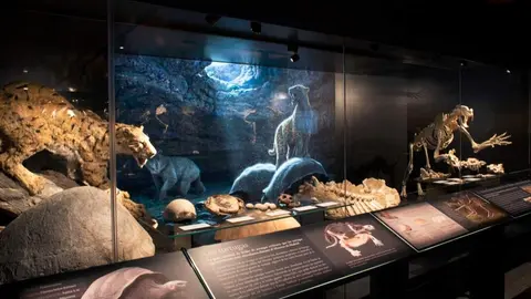 Exposici&oacute;n Cazadores de Dragones en el Museo Arqueol&oacute;gico y Paleontol&oacute;gico - Foto Comunidad de Madrid
