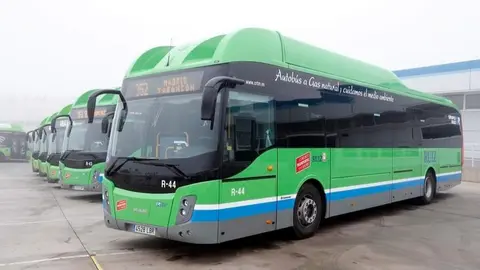 COMUNIDAD DE MADRID
Foto: D.Sinova