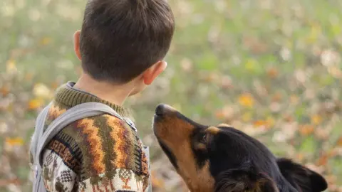 San Ant&oacute;n Madrid 2025: programa y fechas - Freepik