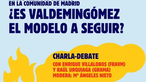 Cartel charla debate Valdemingómes 15-1-2025