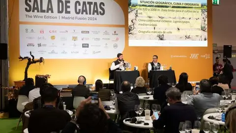 sala de catas MF wine 2024