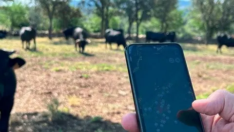 Tecnología puntera ganadería - Foto Comunidad de Madrid