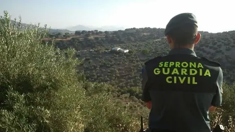 Foto de un Guardia Civil del Seprona