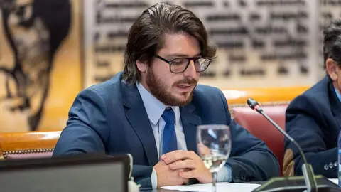 Marcel Mastroianni, politólogo y activista venezolano