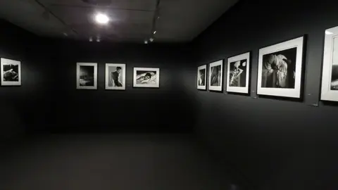 Sakiko Nomura. Tierna es la noche - Vista exposición