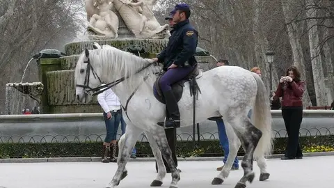 Caballos de la Policía en El Retiro