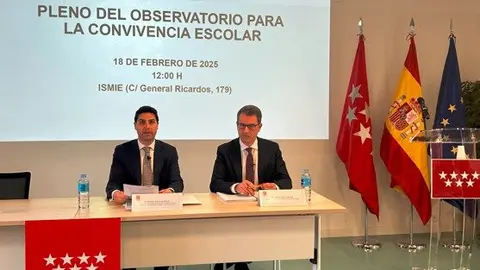 El consejero de Educación, Ciencia y Universidades ha presidido hoy el Pleno del Observatorio de Convivencia de la región - Foto Comunidad de Madrid