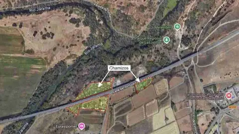 Denuncian la ocupación ilegal de 35.000 m² de suelos protegidos junto al río Henares en Mejorada del Campo