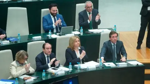 Sesión ordinaria del Pleno Municipal del día 25 de febrero de 2025 - Foto Ayuntamiento de Madrid