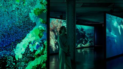 Exposición ‘Ecos del Océano’ - José Belló Aliaga