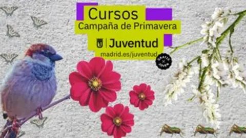 El Ayuntamiento lanza más de 930 plazas en cursos gratuitos para jóvenes