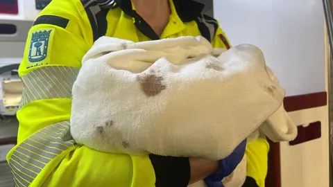 Un bebé nace en el portal de su casa en Chamartín y es trasladado en perfecto estado al hospital - Emergencias Madrid