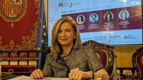 Teresa Mínguez, diputada del ICAM responsable de RRII