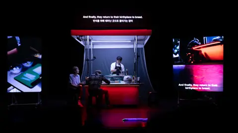 Condeduque presenta Haribo Kimchi, la innovadora performance del artista surcoreano Jaha Koo