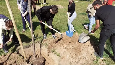 Madrid celebra el Día del Árbol con sendas, fiestas, exposiciones y yincanas