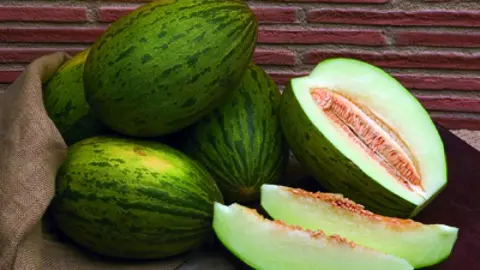 Madrid apuesta por la innovación: estudia usar sandía y melón en lácteos saludables