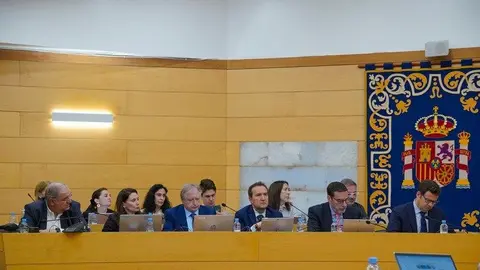 PLENO MARZO LAS ROZAS