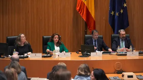 La consejera Matute hoy en el Congreso de los Diputados - Foto Comunidad de Madrid