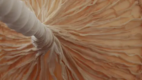 Detalle de la intervención de la artista Eva Fàbregas