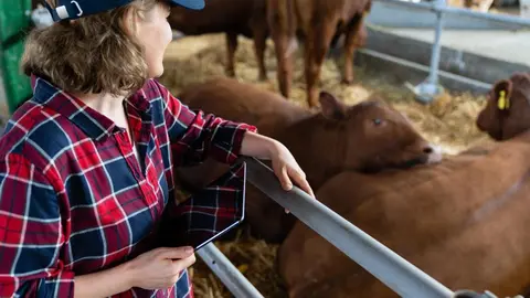 La Comunidad lanza un programa para impulsar el emprendimiento de mujeres en zonas rurales