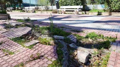 Ronda Fiscal de Alcalá de Henares - Ayuntamiento de Alcalá de Henares