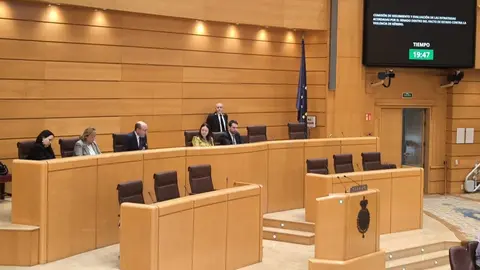 El delegado de Políticas Sociales, Familia e Igualdad del Ayuntamiento de Madrid, José Fernández, ha comparecido hoy en el Senado - Foto Ayuntamiento de Madrid