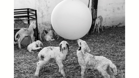 Tarjetón Luis Mendia