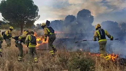 Bomberos Forestales