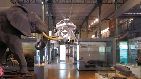 Museo de Ciencias Naturales