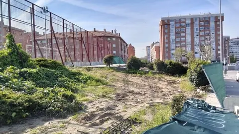 San Pascual exige más árboles: vecinos protestan contra la tala y el calor en uno de los barrios más áridos de Madrid - FRAVM