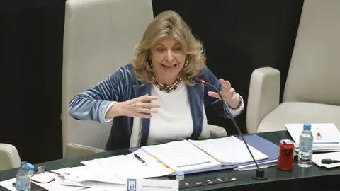 La delegada de Economía, Innovación y Hacienda, Engracia Hidalgo, en un momento de su intervención