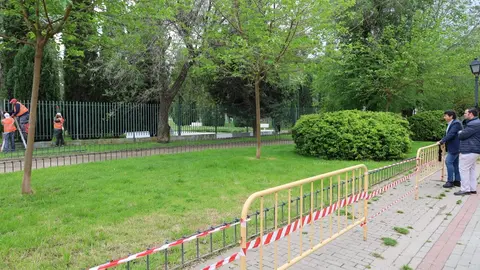 Parque de Sementales en el Ayuntamiento de Alcalá durante sus obras - Ayuntamiento de Alcalá