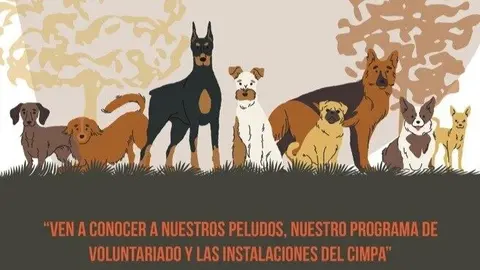 Cartel jornada de puertas abiertas en el CIMPA - Ayuntamiento de Alcalá de Henares