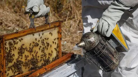 COMUNIDAD DE MADRID

Foto: D.Sinova