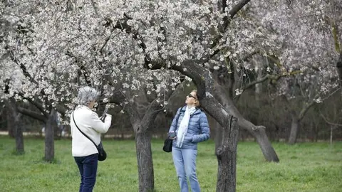 La Quinta de los Molinos. Imagen de archivo