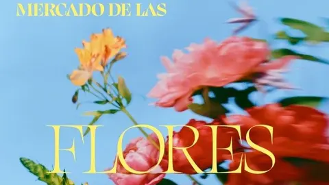 Cartel MDLF Primavera 2025_C-2