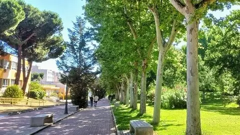 tomasyvaliente_apaisada_ok