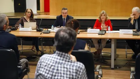 Hidalgo, en la sesión constitutiva del Consejo Sectorial de Consumo - Foto Ayuntamiento de Madrid