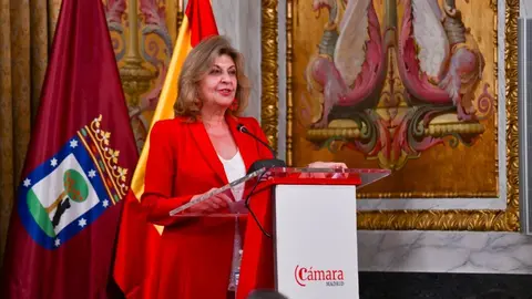 La delegada de Economía, Innovación y Hacienda, Engracia Hidalgo - Foto Ayuntamiento de Madrid