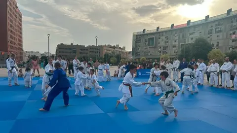 Exhibición de judo - Foto Ayuntamiento Móstoles